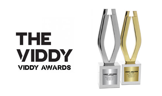 5 Viddy Award